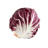 RADICCHIO TONDO ITALIA.