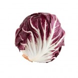 RADICCHIO TONDO ITALIA.