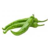 PEPERONCINO VS GR 100