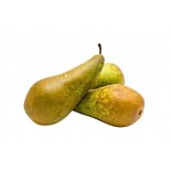 PERE ABATE KG.1 I 55/65