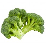 BROCCOLETTI GR.500