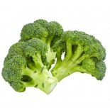 BROCCOLETTI GR 500