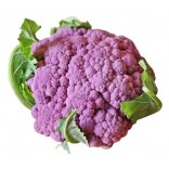 (UNO) CAVOLFIORE VIOLA