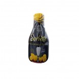 SORB.AL LIMONE SICILIA GR.500