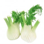 FINOCCHI II NC ITALIA