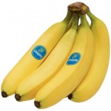 BANANE CHIQUITA I 20