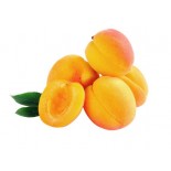 ALBICOCCHE