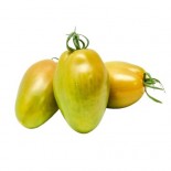 POMODORO.OBLUNGO VERDE II NC