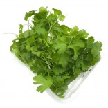 PREZZEMOLO VASCH GR.100