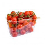 POMODORO PICCADILLY KG.1