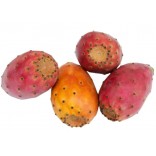 FICHI D'INDIA 18 FR.