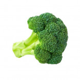 BROCCOLETTI GR.500