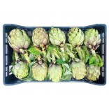 CARCIOFI 20.PEZZI
