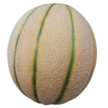 MELONE RETATO