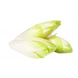 INDIVIA BELGA GR.500.