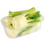 FINOCCHI VASSOIO II NC ITALIA