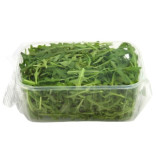 RUCOLA VASCH.GR.100