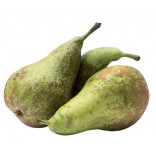 PERE CONFERENCE II 60+