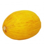 MELONE GIALLO