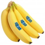 BANANE CHIQUITA I 20+