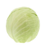 CAVOLO CAPPUCCIO BI.