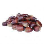 CASTAGNE GR.500 II 90/100