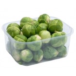 CAVOLINI BRUXELLES G 350 II NC