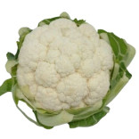 CAVOLFIORE BIANCO