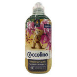 (SP) AMM.42 L. COCCOLINO CON.SAND/C