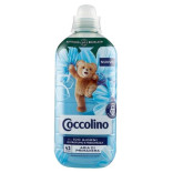 AMM.41 L. COCCOLINO CON.PRIMAV