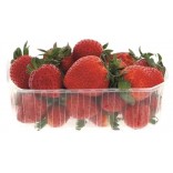 FRAGOLE GR.500 II NC ITALIA