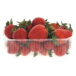 FRAGOLE GR.500 II NC ITALIA