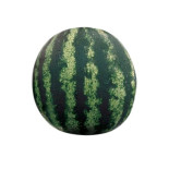 MINI ANGURIA ITALIA.