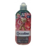 AMM.41 L. COCCOLINO CON.FR.ROS