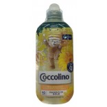 AMM.41 L. COCCOLINO CON.R.SOLE