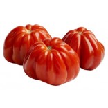 POMODORO CUORE BUE ITALIA