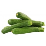 ZUCCHINA VERDE ITALIA
