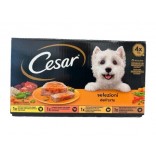 CESAR CANE GR.150X4 ASSORTITO