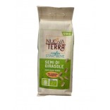 SEMI GIRASOLE BIO GR.150 N.T.