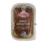 ACCIUGHE ADRIATICO O.S.GR.80