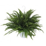 FELCE BASKET VASO 18