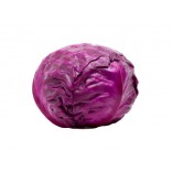 CAVOLO CAPPUCCIO.ROSSO