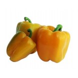 PEPERONE BIO GR.500