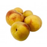 PESCA LEONF.IGP KG.1