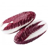 RADICCHIO.PRECOCE