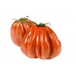 POMODORO CUORE DI BUE