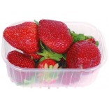 FRAGOLE GR.250