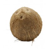 NOCI DI COCCO GR.400