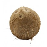 NOCI DI COCCO GR.400