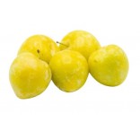 SUSINE GIALLE 40+ II